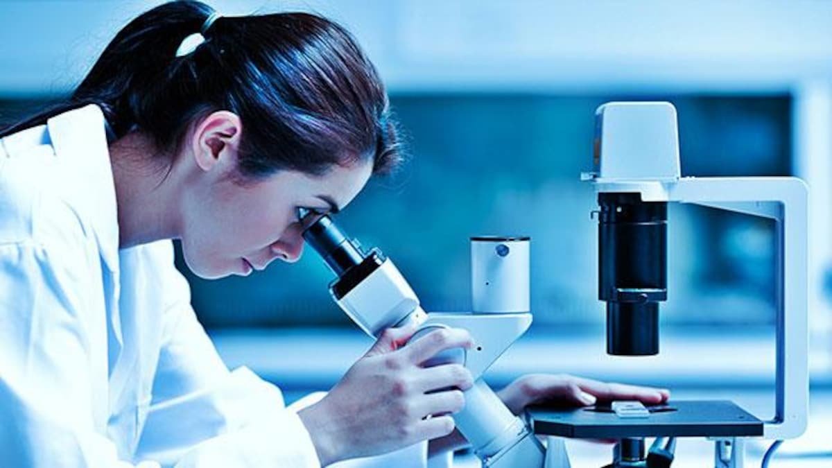 Career Opportunities as Medical Laboratory
