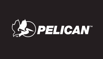 Pelican Recruitment | Trainee Software Engineer | BE/ B.Tech/ BCA/ B.Sc